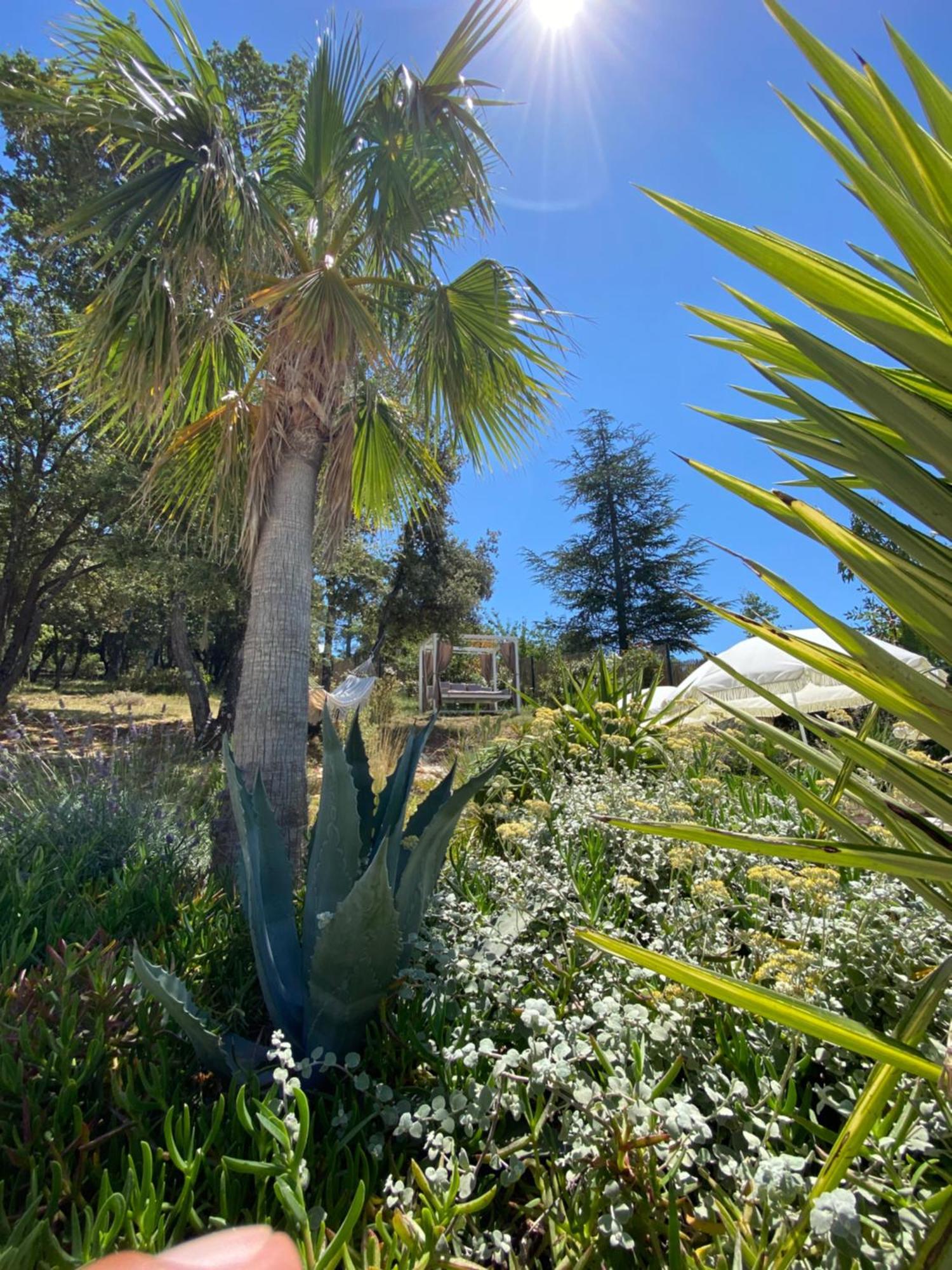 Villa Alba En Provence Besse-sur-Issole Luaran gambar