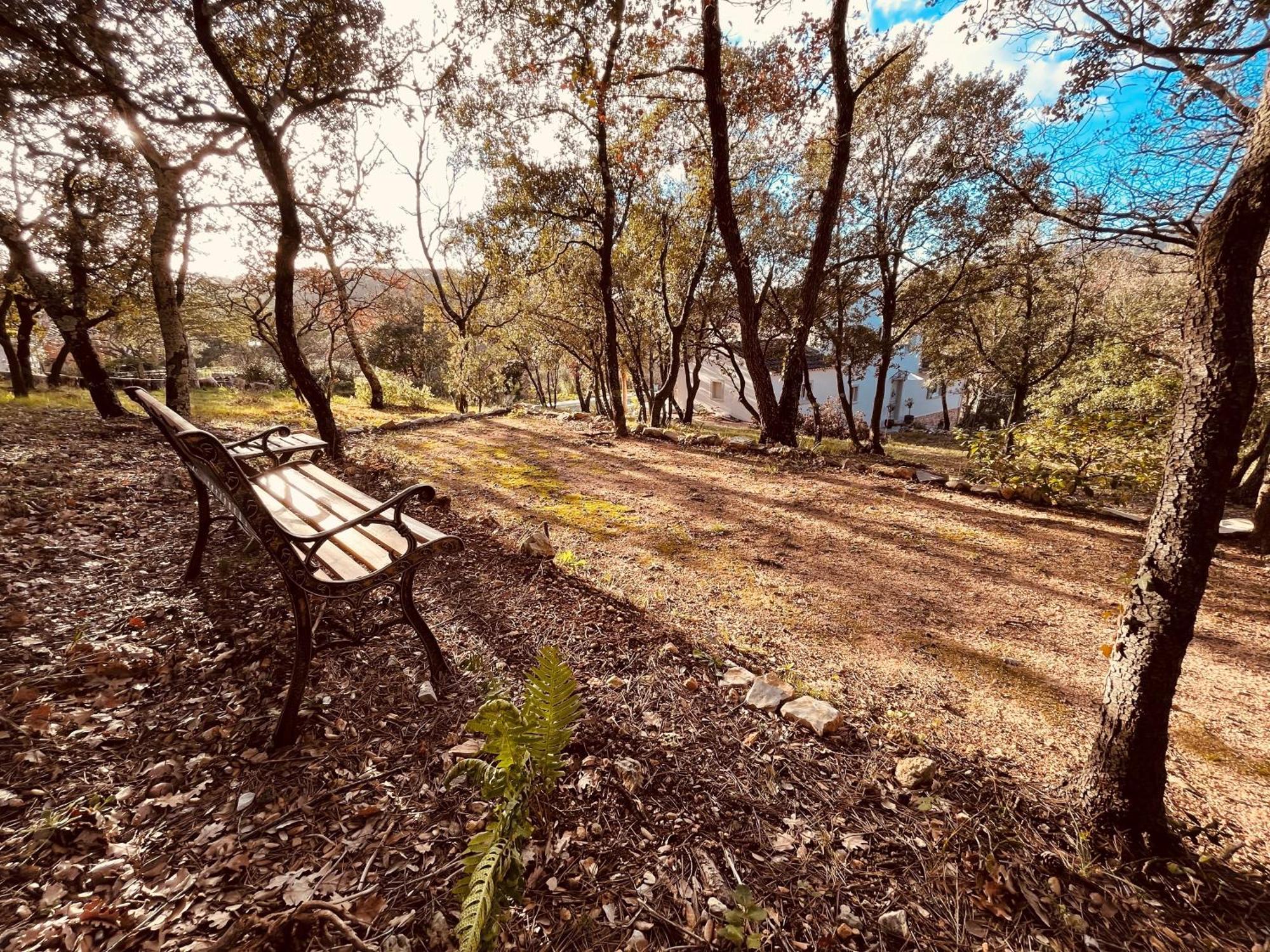 Villa Alba En Provence Besse-sur-Issole Luaran gambar